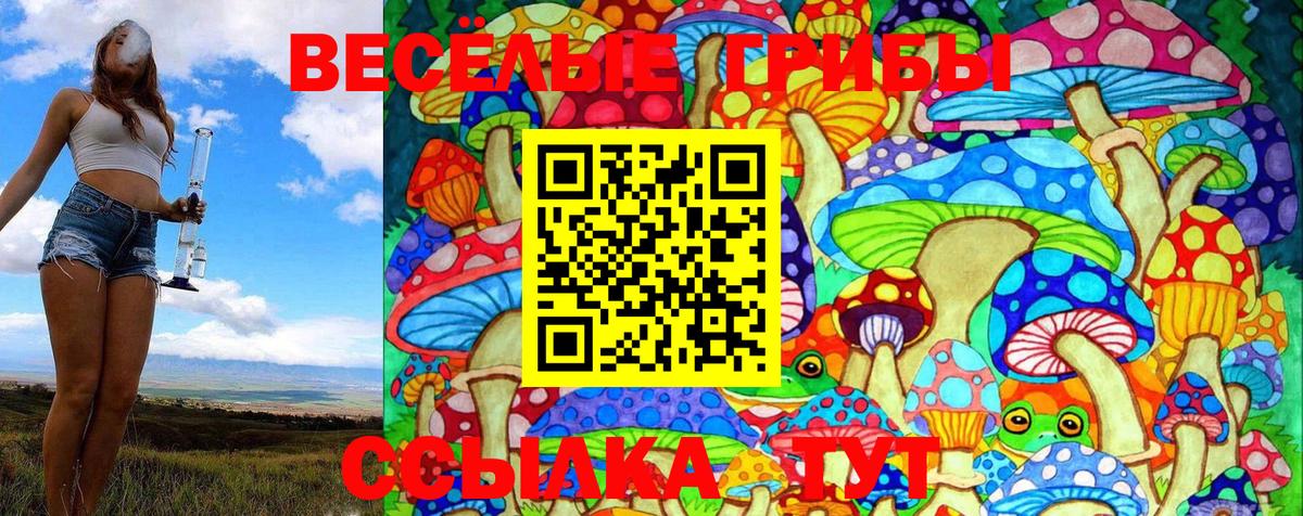Псилоцибиновые грибы Magic Shrooms  Вход с VPN  Галлюциногенные грибы мицелий  наркотики  Новороссийск 