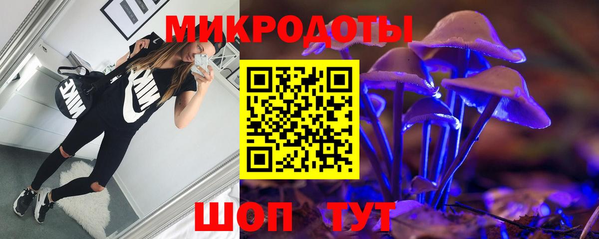 Псилоцибиновые грибы ЛСД Новороссийск